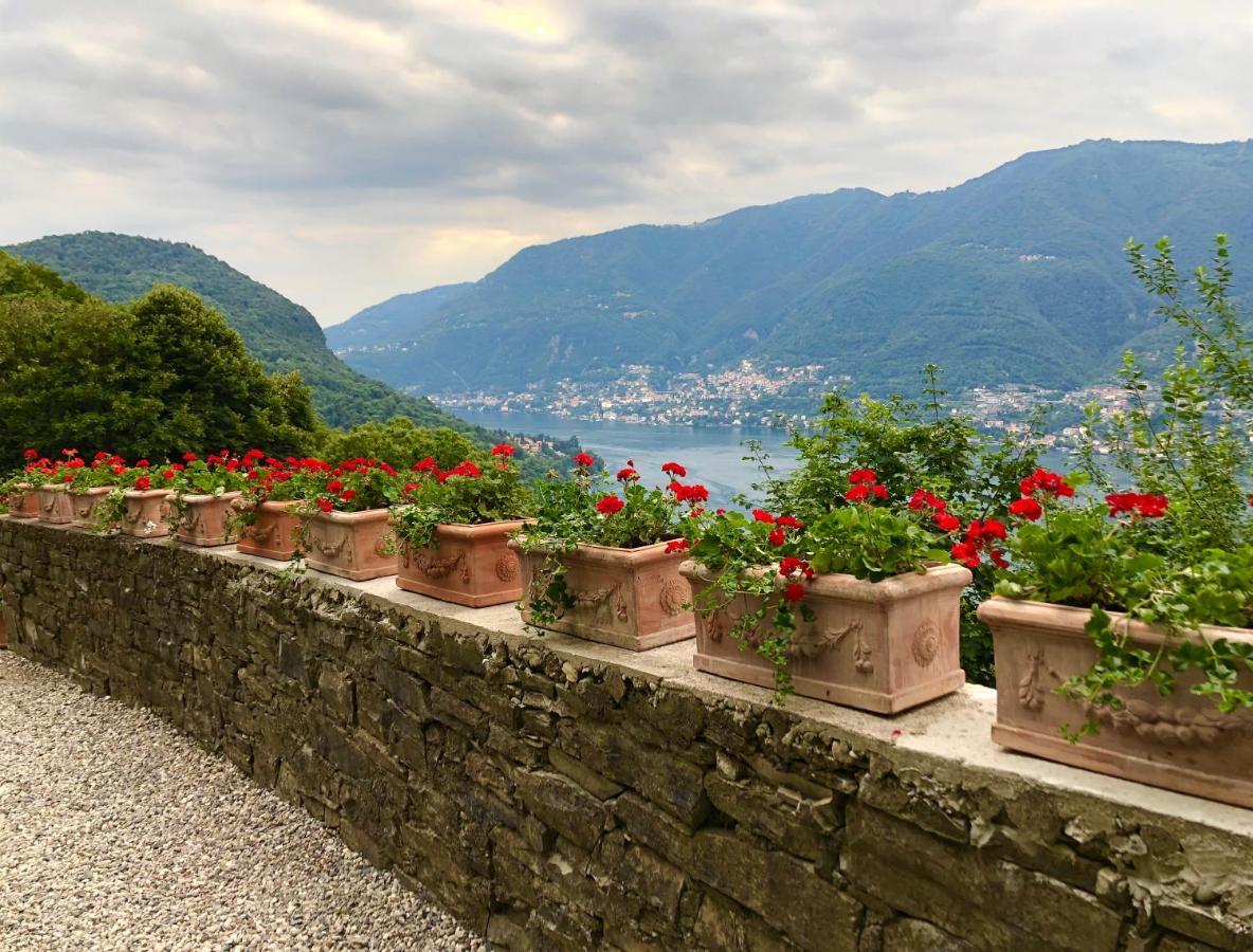 B&B Villa Le Ortensie Faggeto Lario エクステリア 写真