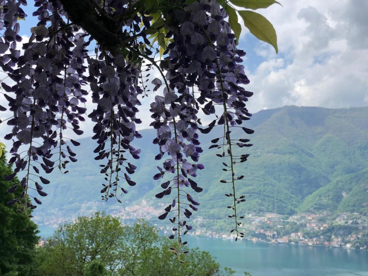 B&B Villa Le Ortensie Faggeto Lario エクステリア 写真